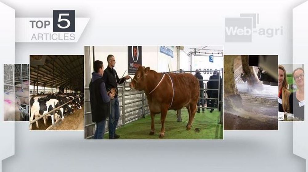 Vente aux enchères, lait de foin et robot de soin... les articles les plus lus cette semaine. (©Terre-net Média)