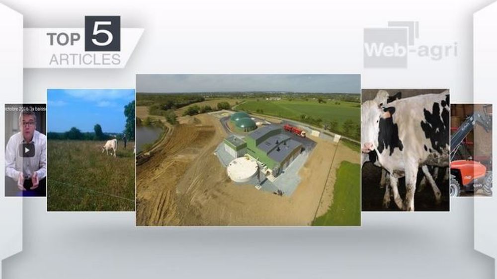 Les cinq articles les plus consultés cette semaine sur Web-agri. (©Terre-net Média)