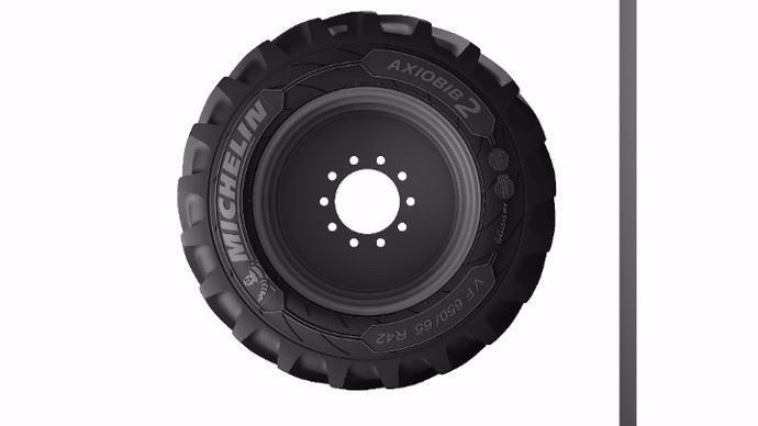 VF AxioBib 2 de Michelin