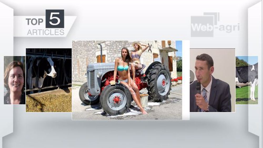 Articles les plus lus sur Web-agri cette semaine. (©Terre-net Média) 