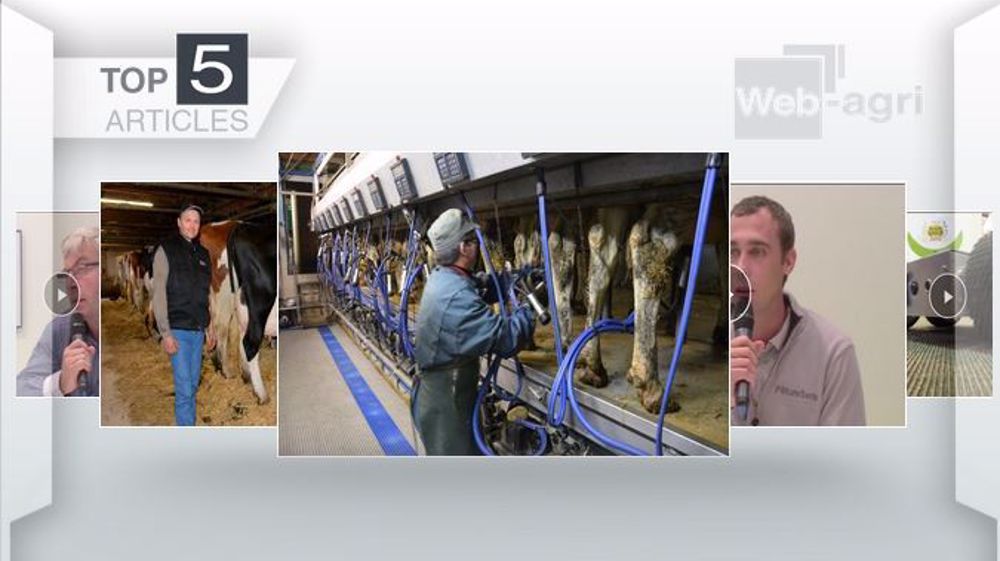 Les cinq articles les plus lus sur Web-agri cette semaine. (©Terre-net Média)