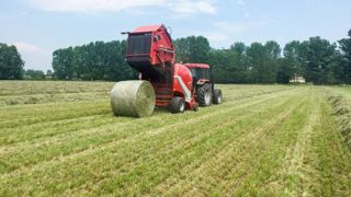 La Lely Welger RP 180 V est le modèle de presse en 1.80 de diamètre maximum. (©Lely) La Lely Welger RP 180 V est le modèle de presse en 1.80 de diamètre maximum. (©Lely)