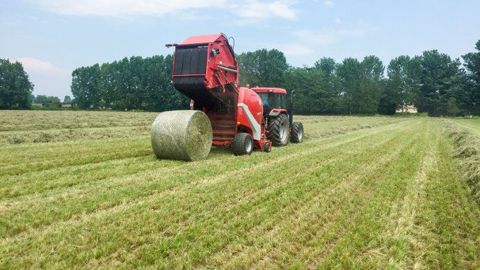 La Lely Welger RP 180 V est le modèle de presse en 1.80 de diamètre maximum. (©Lely) La Lely Welger RP 180 V est le modèle de presse en 1.80 de diamètre maximum. (©Lely)