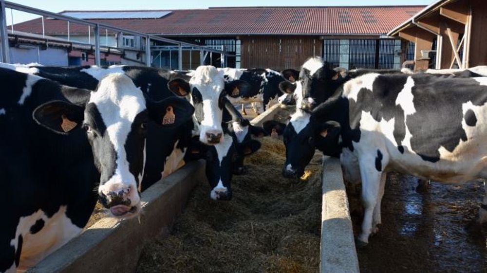 A lire également : <a href="http://www.web-agri.fr/conduite-elevage/alimentation/article/inzo-developpe-les-tourteaux-tannes-sans-formol-1172-105852.html" target="_self">Inzo développe les tourteaux tannés sans formol</a>. (©Terre-net Média)