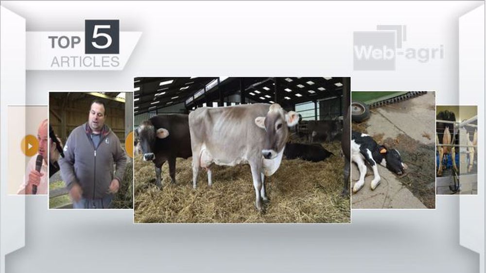 Articles les plus lus cette semaine sur Web-agri (©Terre-net Média)