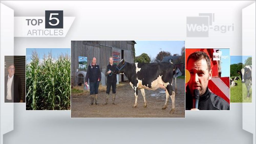 Articles les plus lus cette semaine sur Web-agri (©Terre-net Média 