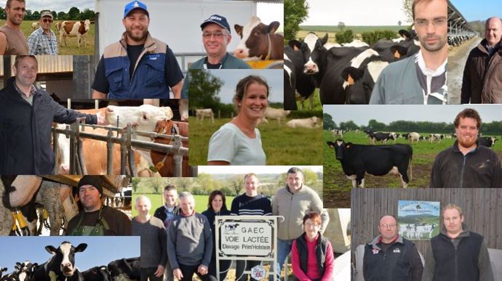 Retrouvez ces élevages de vaches laitières ou allaitantes dans le tag "<a href="http://www.web-agri.fr/reportages/t398" target="_self">Reportages</a>" (©Terre-net Média)