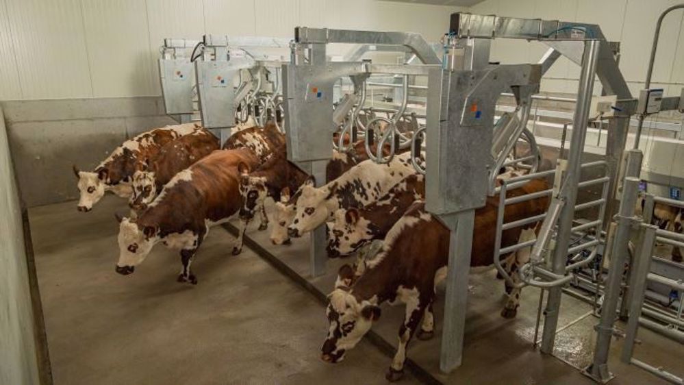 Pour la sortie, l'ensemble de la structure se relève, ce qui évite de fixer des poteaux intermédiaires au sol. (©BouMatic)