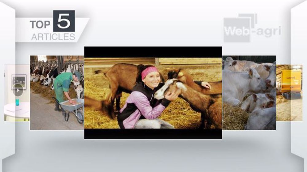 Top articles de la semaine sur Web-Agri. (©Terre-net Média)