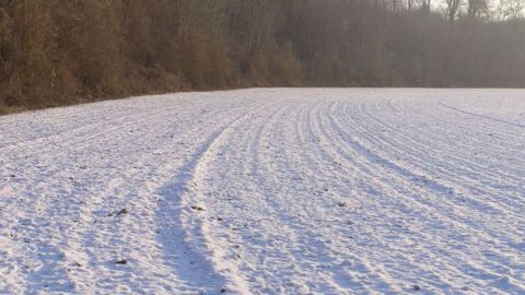 L'est de l'Europe est à son tour touché par une vague de froid. (©Terre-net Média)