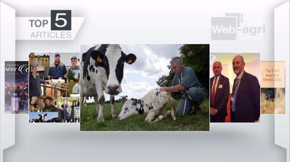 Les cinq articles les plus lus sur Web-agri cette semaine. (©Terre-net Média )