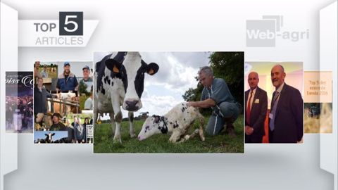 Les cinq articles les plus lus sur Web-agri cette semaine. (©Terre-net Média )