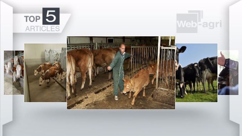 Les articles les plus lus sur Web-agri cette semaine (©Terre-net Média)