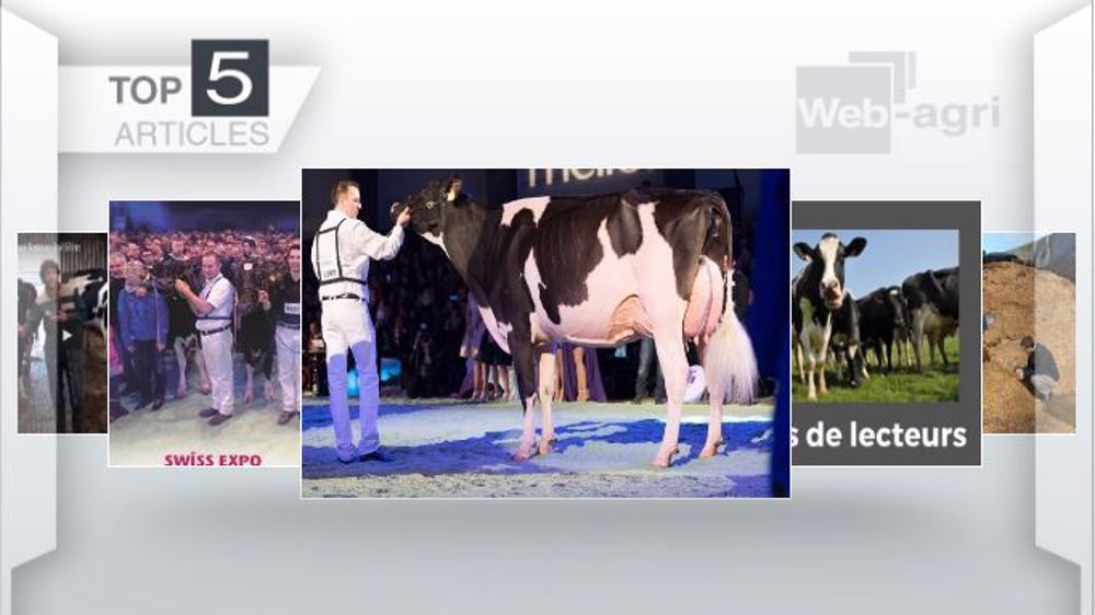 Les cinq sujets les plus lus sur Web-agri cette semaine. (©Terre-net Média)