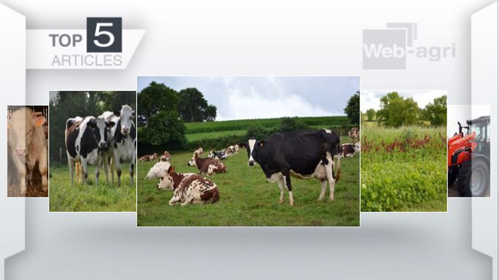 Les cinq articles les plus lus sur Web-agri cette semaine. (©Terre-net Média)