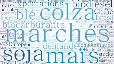 Quelles perspectives de marchés pour 2017 ? (©Terre-net Média)