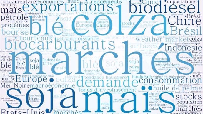 Quelles perspectives de marchés pour 2017 ?