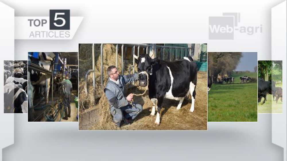Top articles de la semaine sur Web-Agri. (©Terre-net Média)