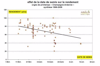 Rendement de l'orge de printemps selon la date de semis.