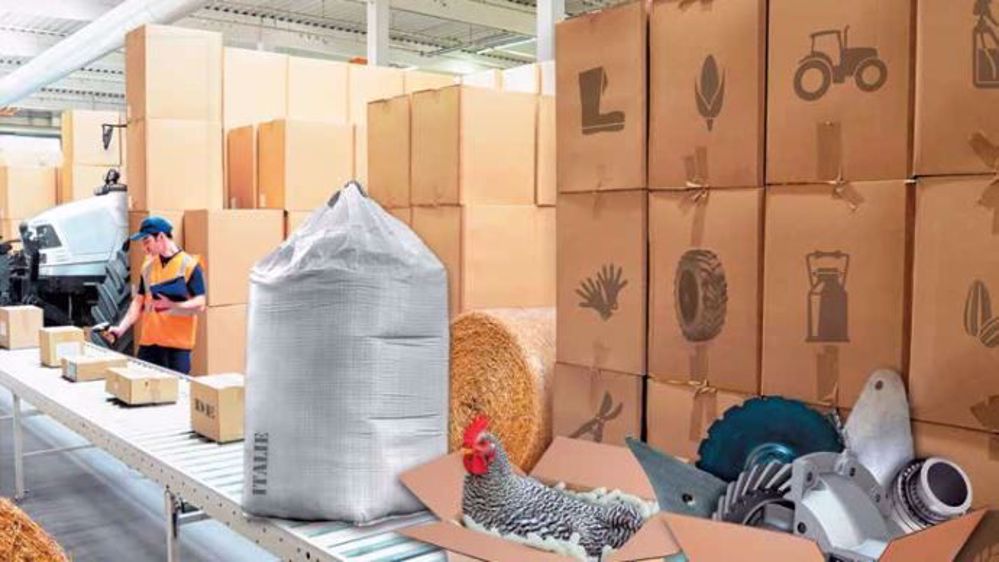La logistique, un facteur clé de succès pour les entreprises de vente en ligne. (©Fotolia, Terre-net Média)
