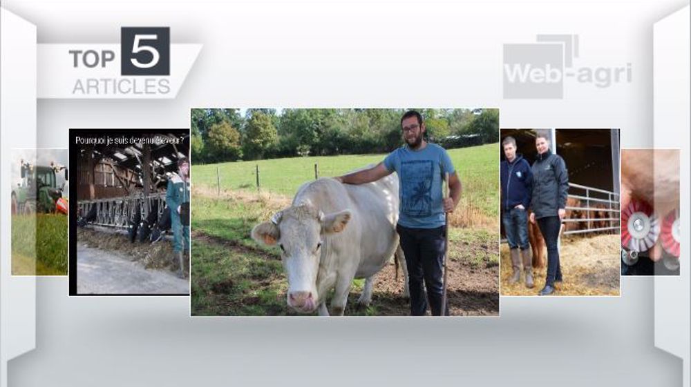 Articles les plus lus cette semaine sur Web-agri (©Terre-net Média )