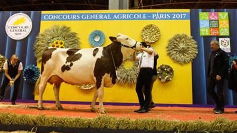 Gribouille est la grande championne de la race. (©Sia) Gribouille est la grande championne de la race. (©Sia)