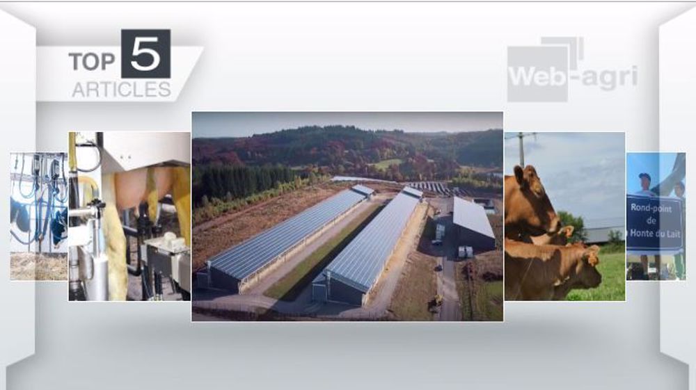 Les articles les plus lus sur Web-agri cette semaine (©Terre-net Média)