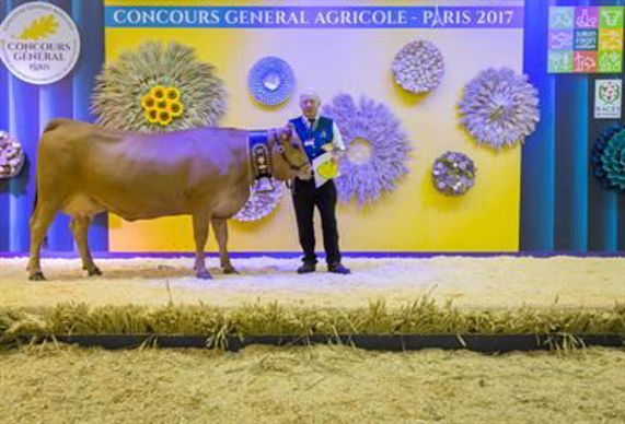 Idéale s'impose chez les jeunes