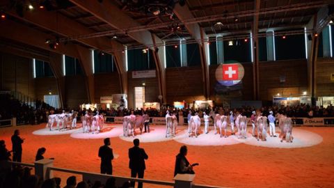 Les championnes nationales 2016 Galys-Vray (Holstein) et Bopi Talent Lotanie (Red Holstein) conservent donc leur titre une année de plus. (©DR) Les championnes nationales 2016 Galys-Vray (Holstein) et Bopi Talent Lotanie (Red Holstein) conservent donc leur titre une année de plus. (©DR)
