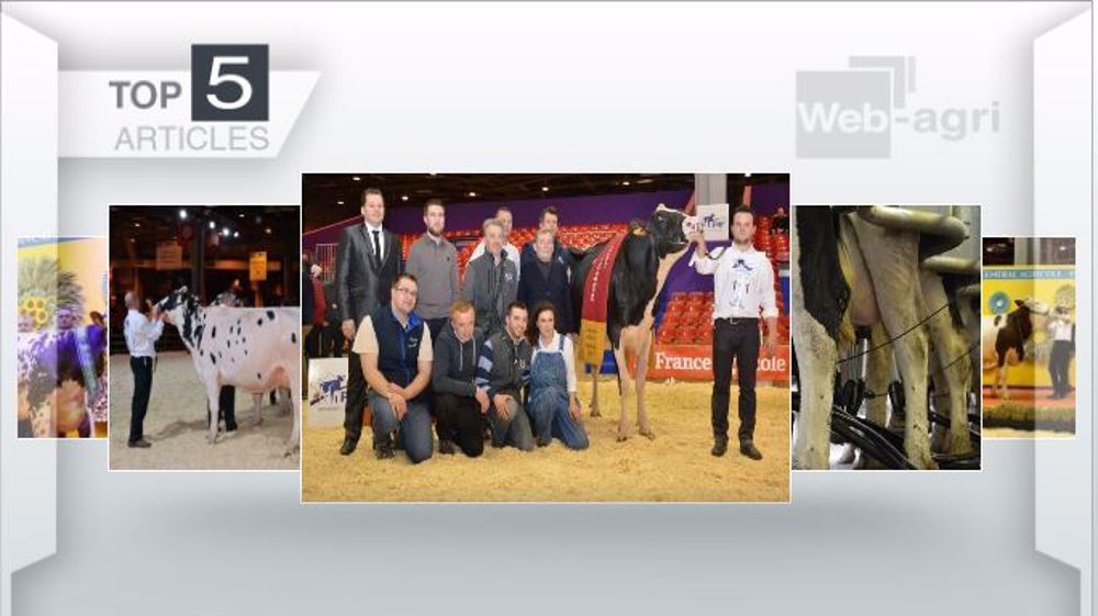 Articles les plus lus cette semaine sur Web-agri. (©Terre-net Média)