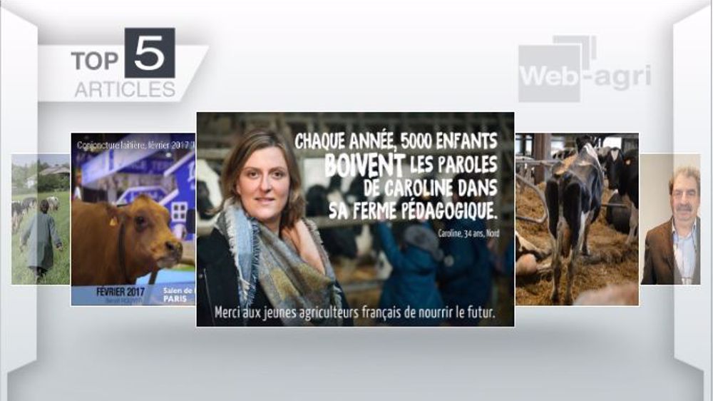 Articles les plus lus cette semaine sur Web-agri (©Terre-net Média )