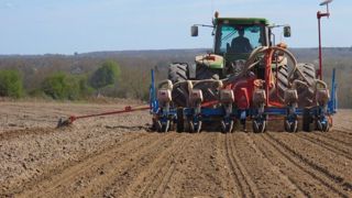 Les semis, avant le 5 avril pour le sud, avant le 15 avril pour le nord, sont à risque. (©Terre-net Média) Les semis, avant le 5 avril pour le sud, avant le 15 avril pour le nord, sont à risque. (©Terre-net Média)