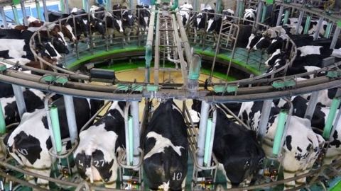 L'European Milk Board estime que les producteurs de lait européens sont prêts à fermer quelque peu le robinet de lait pour éviter une prochaine baisse des prix. (©Terre-net Média)