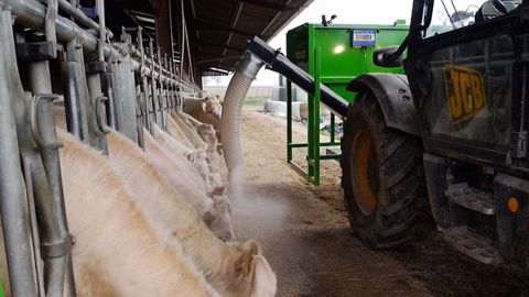 Il suffit de régler l'échelle crantée pour adapter la hauteur de chute des aliments et limiter la poussière. (©Ponge)