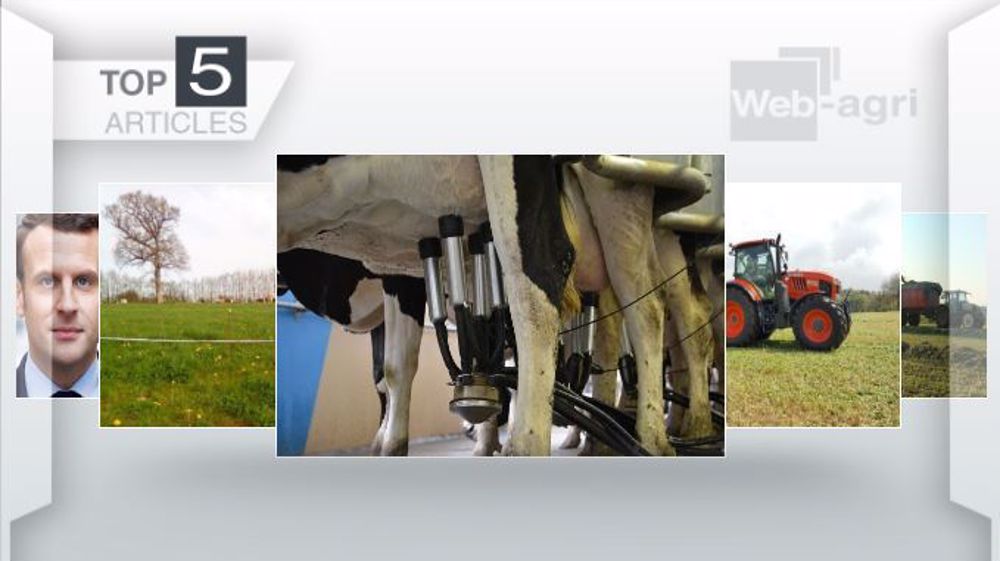 Articles les plus lus cette semaine sur Web-agri (©Terre-net Média)