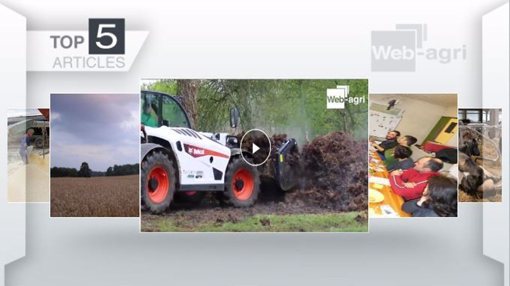 Les articles les plus lus sur Web-agri cette semaine. (©Terre-net Média)
