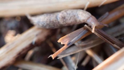 Il est primordial d’adopter des pratiques minimisant les risques et d’anticiper les attaques. (©André Chabert, Acta)