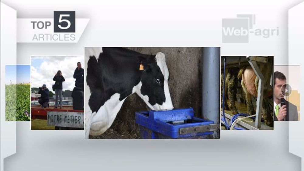 Articles les plus lus cette semaine sur Web-agri (©Terre-net Média)