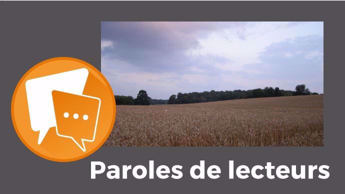 Champ de blé sous des nuages pour Paroles de lecteurs