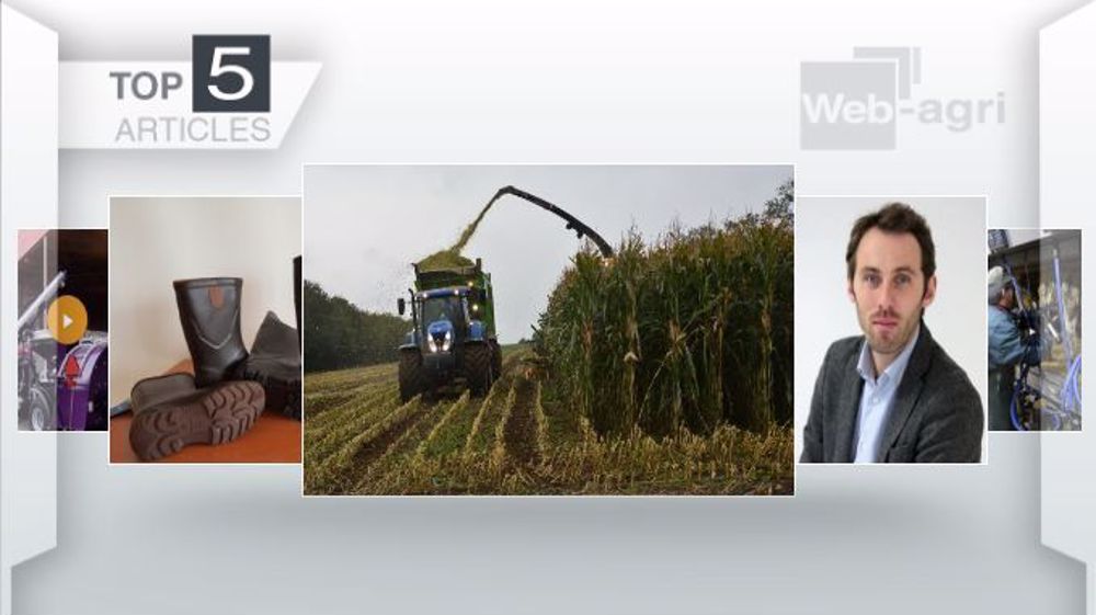 Articles les plus lus cette semaine sur Web-agri (©Terre-net Média)