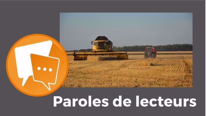 Moissonneuse dans un champ de blé