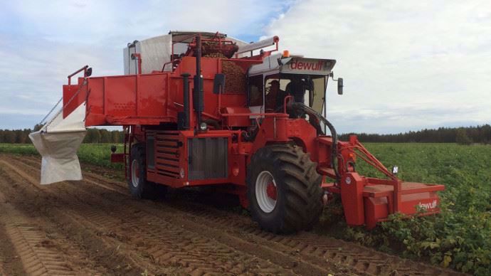 Arracheuse Dewulf R3000S