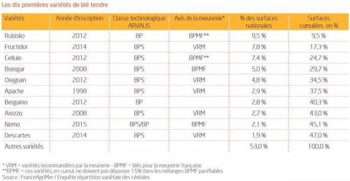 Dix premières variétés de blé cultivées en France.