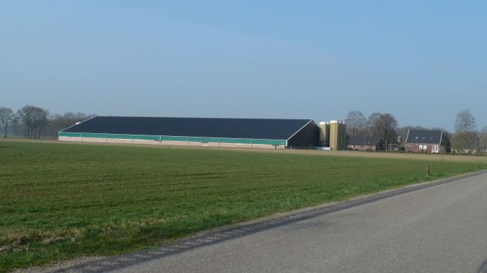 La problématique la plus ancienne aux Pays-Bas est l’impact sur l’environnement, en lien avec une densité animale dans les élevages historiquement très forte. (©Ifip-institut du porc)
