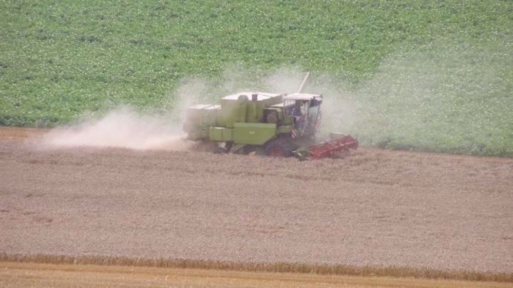 Au Canada, le temps est toujours sec, ce qui est favorable aux moissons de blé d’hiver. (©Terre-net Média)