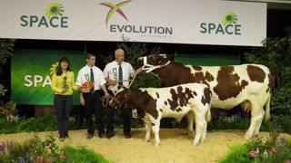 Ivoire, championne Rouge des prés du Space 2017. (©Arsoe) Ivoire, championne Rouge des prés du Space 2017. (©Arsoe)