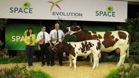 Ivoire, championne Rouge des prés du Space 2017. (©Arsoe) Ivoire, championne Rouge des prés du Space 2017. (©Arsoe)
