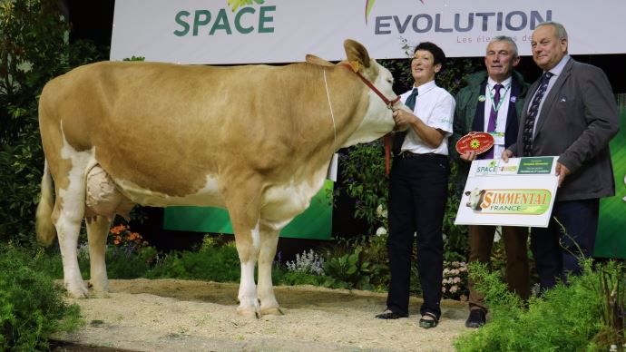 Image (Watnox x Ilion), meilleure vache en cours de 2ème lactation