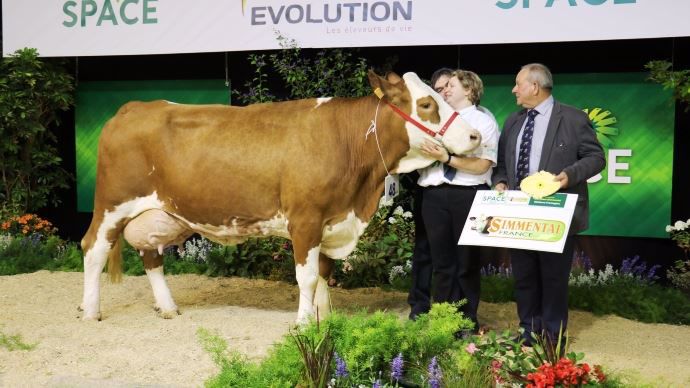 Cadreuse (Offenbach x Lys), meilleure laitière en race Simmental.