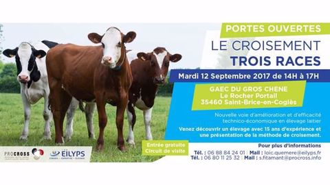 Le thème de ces portes ouvertes sera « Nouvelle voie d'amélioration et d'efficacité technico-économique en élevage laitier ». (©Eilyps et ProCross) Le thème de ces portes ouvertes sera « Nouvelle voie d'amélioration et d'efficacité technico-économique en élevage laitier ». (©Eilyps et ProCross)